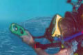 Isola d'Elba .:. copyright Max Deep settembre 2001