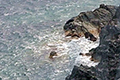 Isola d'Elba (LI) .:. copyright Max Deep settembre 2007