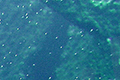 Isola d'Elba (LI) .:. copyright Max Deep settembre 2007