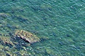 Isola d'Elba (LI) .:. copyright Max Deep settembre 2007