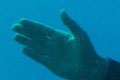 Promontorio di portofino (GE), l'Altare .:. copyright Max Deep luglio 2011